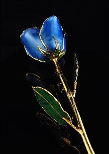 Gold Trimmed Rose (8 options) – Rick Murphey The Jeweler